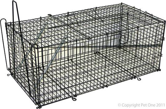 Pet One Possum/Cat Trap