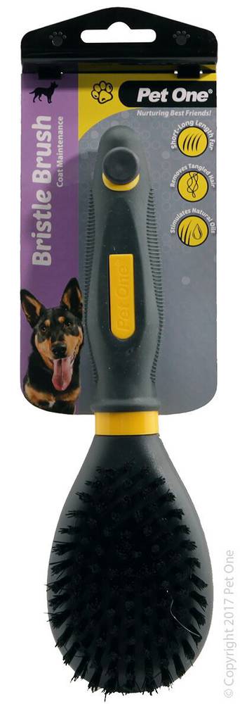 Pet One Bristle Brush (L)