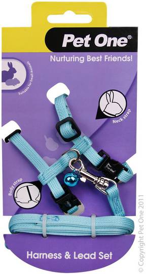 Leash and Harness Rabbit/Guinea Pig Aqua