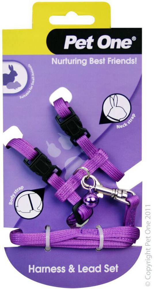 Leash and Harness Rabbit/Guinea Pig Purple