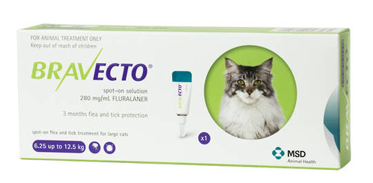 Bravecto Spot-on Flea Treatment for Large Cats (Green)