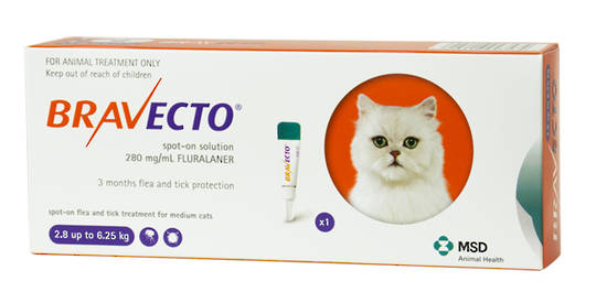 Bravecto Spot-on Flea Treatment for Medium Cats (Orange)