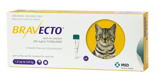 Bravecto Spot-on Flea Treatment for Small Cats (Yellow)