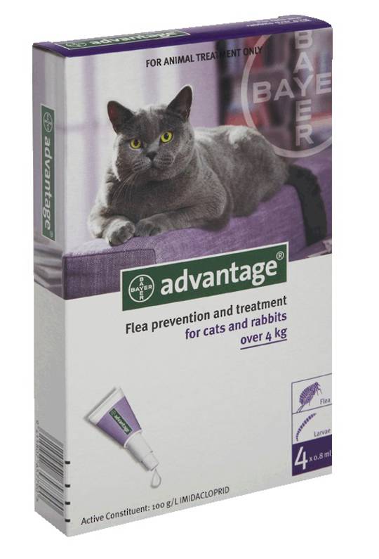 Advantage Spot-on Flea Treatment for Cats and Rabbits Over 4kg (Purple / 4 pippets)