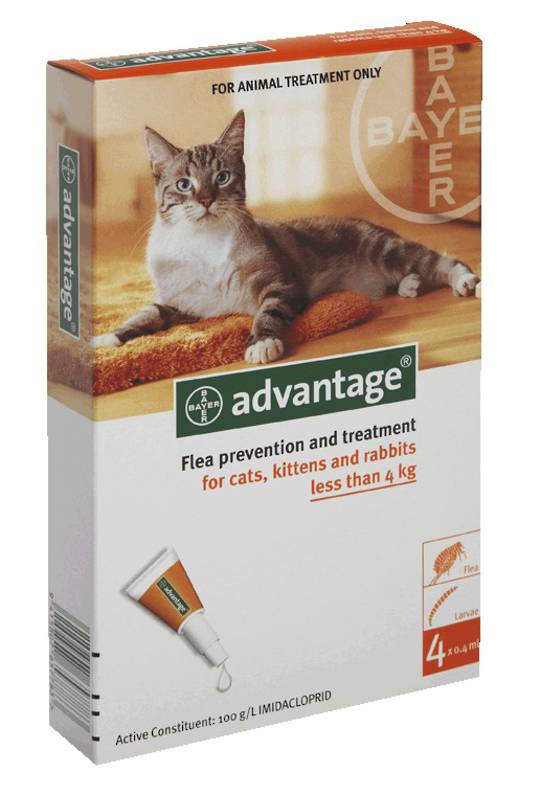Advantage Spot-on Flea Treatment for Cats, Kittens and Rabbits Up to 4kg (Orange / 4 pippets)