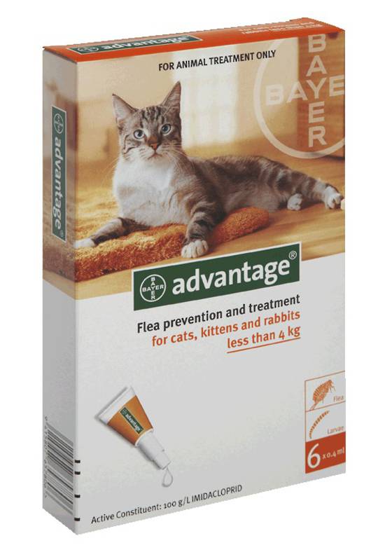Advantage Spot-on Flea Treatment for Cats, Kittens and Rabbits Over 4kg (Orange / 6 pippets)
