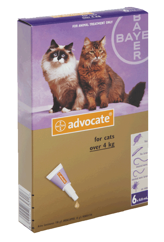 Advantage Spot-on Flea and Worm Treatment for Large Cats (Purple / 6 pippets)