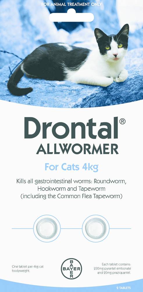 Drontal Allwormer Tablet for Cats (Up to 4kg) 2tablets