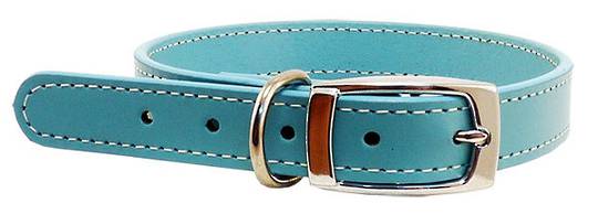 Leather Stitched Collar Aqua (12mm x 35cm)