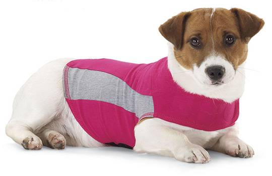 Thundershirt PINK XXS