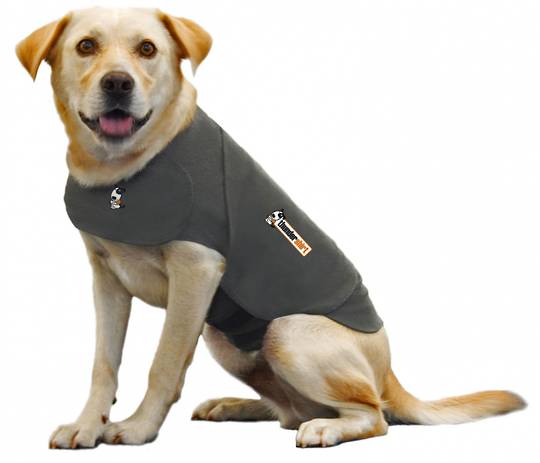 Thundershirt L
